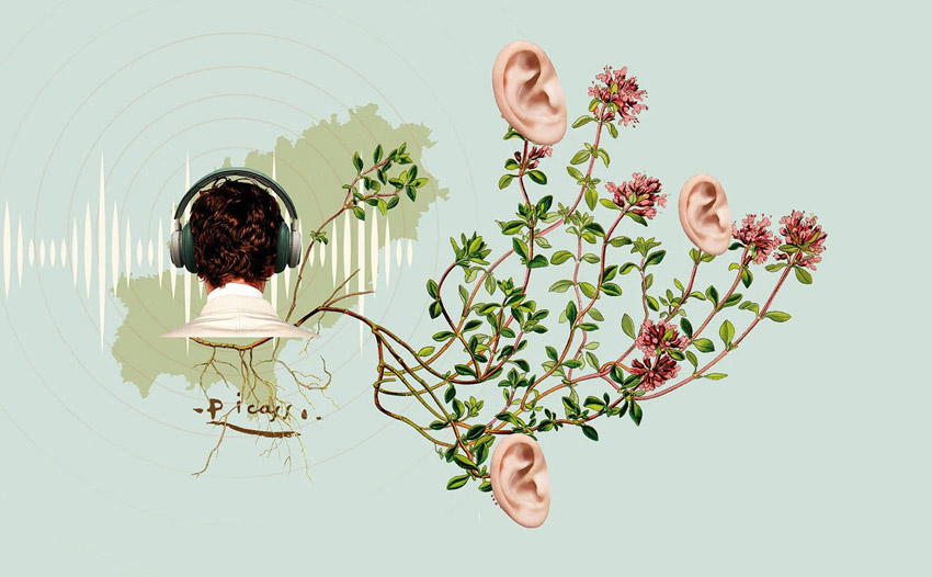 Ilustración creativa