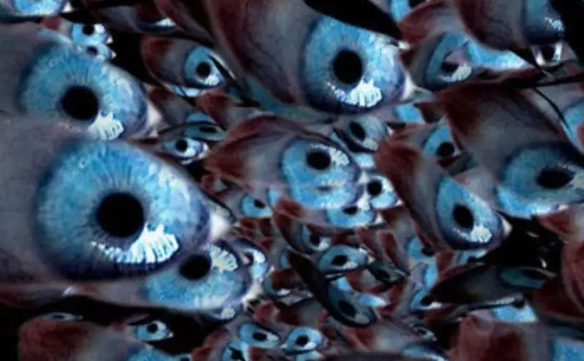 Création visuelle pour expositions artistiques et concerts — Scénographie numérique