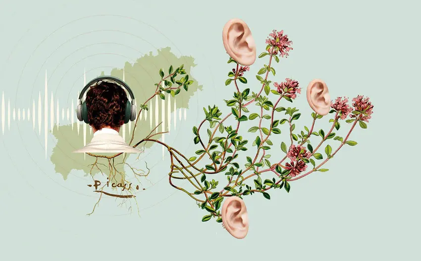 collage créative originale – La Tenaz Studio